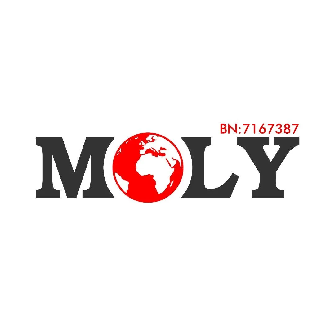 MOLY COMPUTERS logo