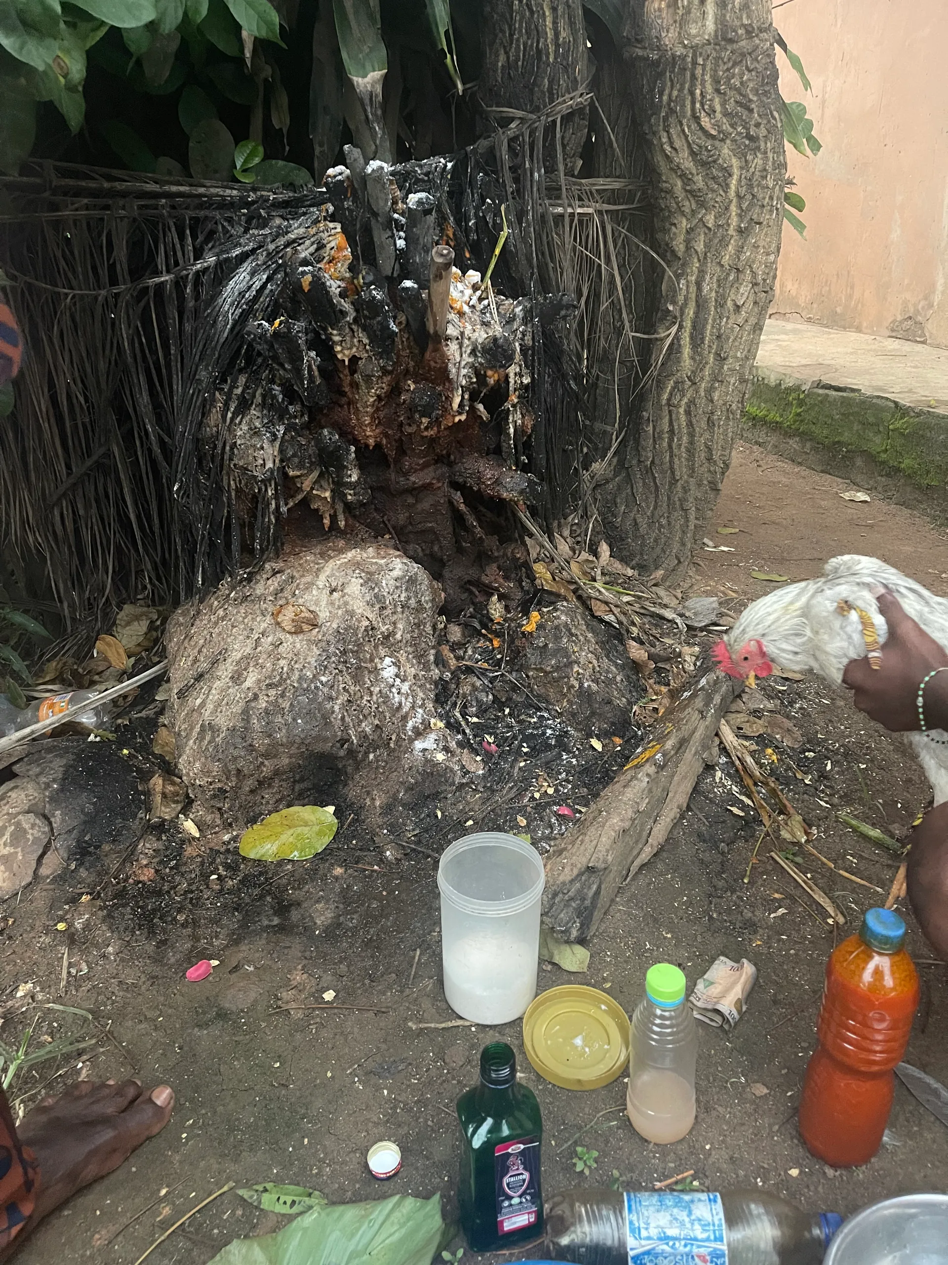 The most spiritual powerful herbalist in Nigeria 09059208421 banner