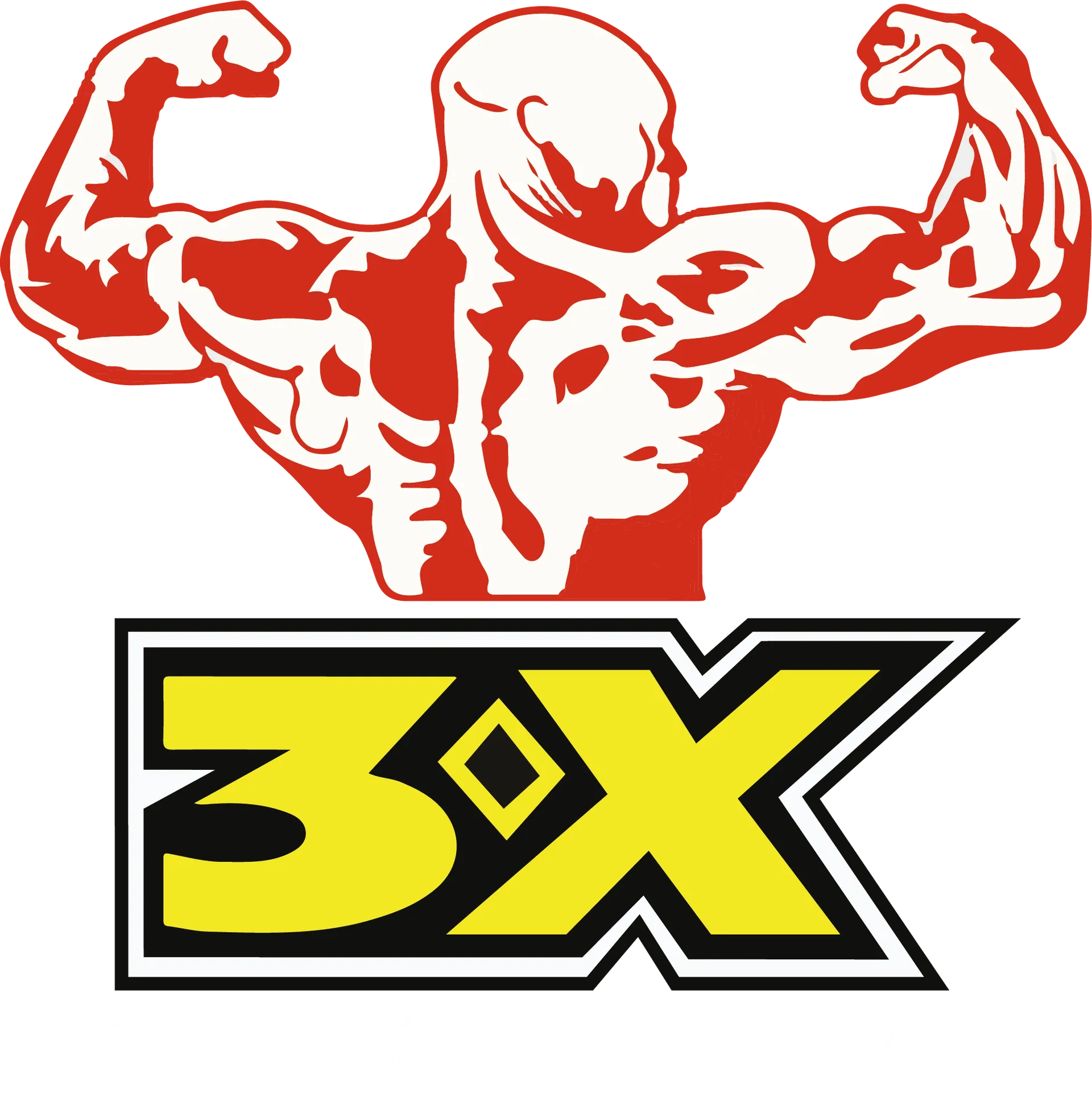 3X Enegry