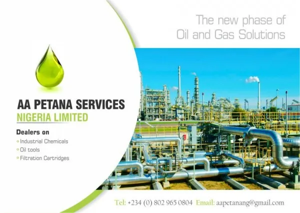 Aa Petana Services Nigeria Limited logo