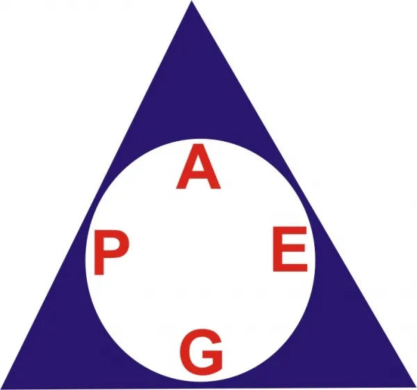 Absolute Project Global Energy Ltd