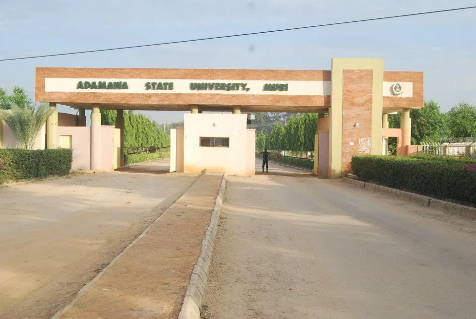 Adamawa State University Consultancy Limited