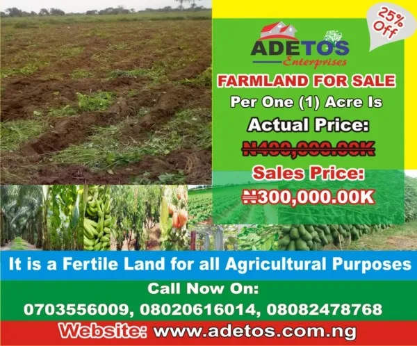Adetos Enterprises