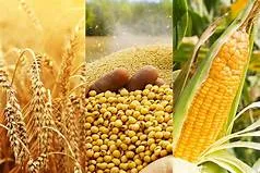 AgricHaven