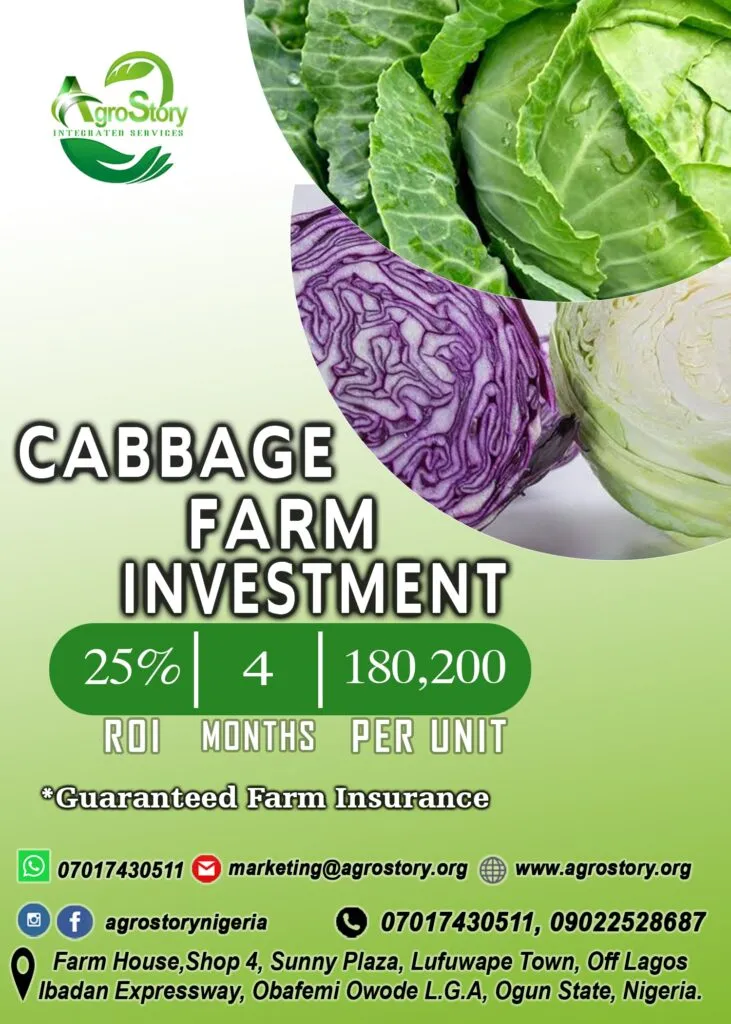 Agro Story Nigeria