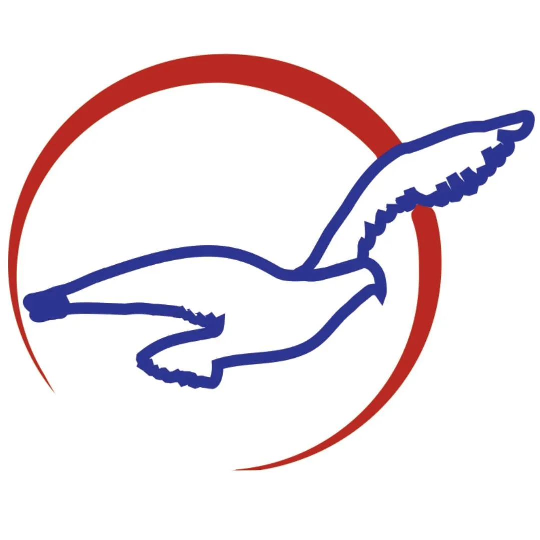 Air Peace (Imo)