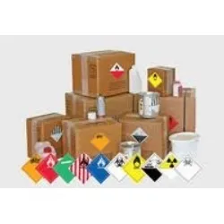 Airborne International Courier Services