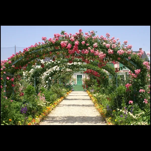 Alpha Landscaping and Gardening Services