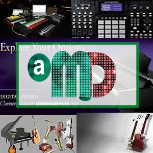 Am Discovery Musical Instruments