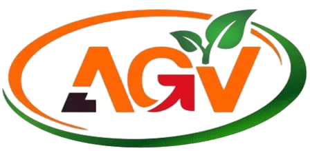 Amagzy Global Venture