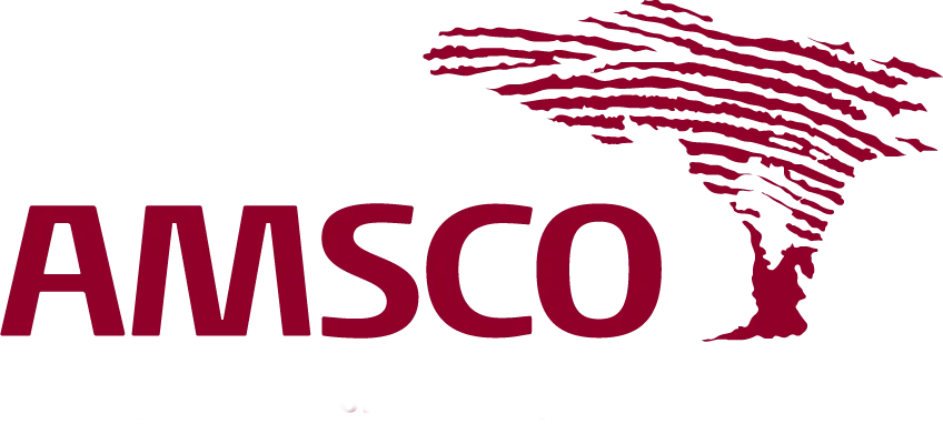 AMSCO ADVISORY SERVICES LIMITED