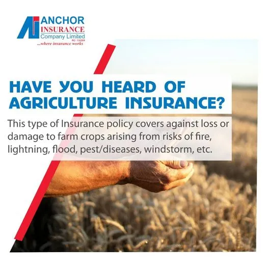 Anchor Insurance Co.Ltd (Cross River)