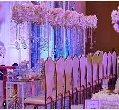 Aquarian Touch Event
