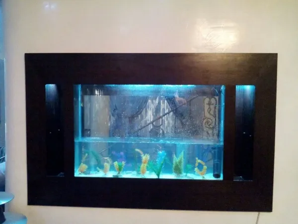 atlantis aquariums