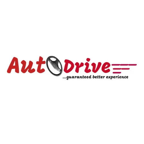 Auto Drive Business CONCEPT