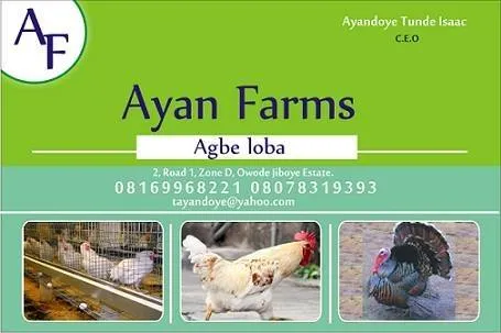 Ayan Farms