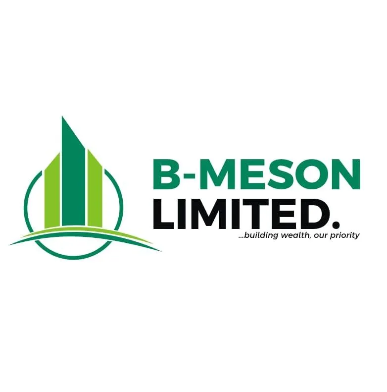 B-meson Ltd