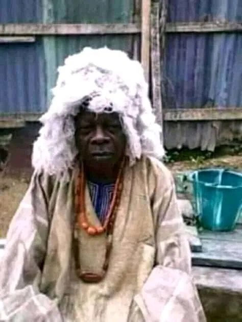 Baba Ajaguna Herbalist Work. logo