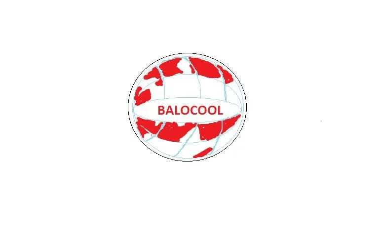 Balocool Excel Nigeria Limited