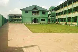 Bammy School