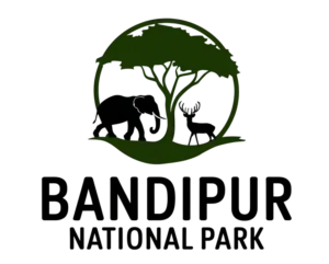 Bandipur National Park