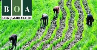 Bank Of Agriculture Limited