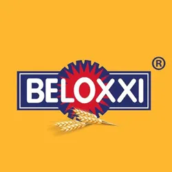 Beloxxi Industries Limited