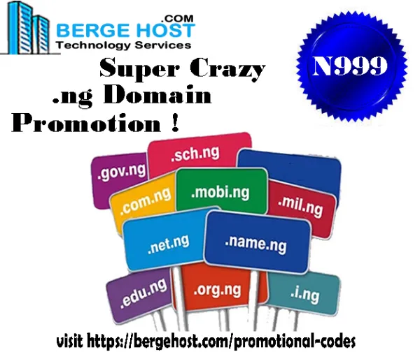 BergeHost Technology Services logo