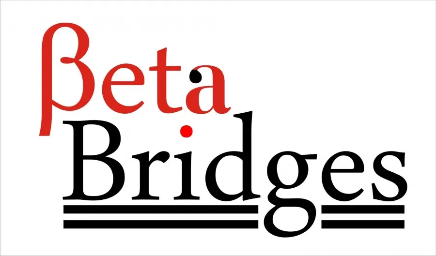 Beta Bridges Ltd