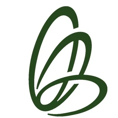 BGL Securities Limited logo