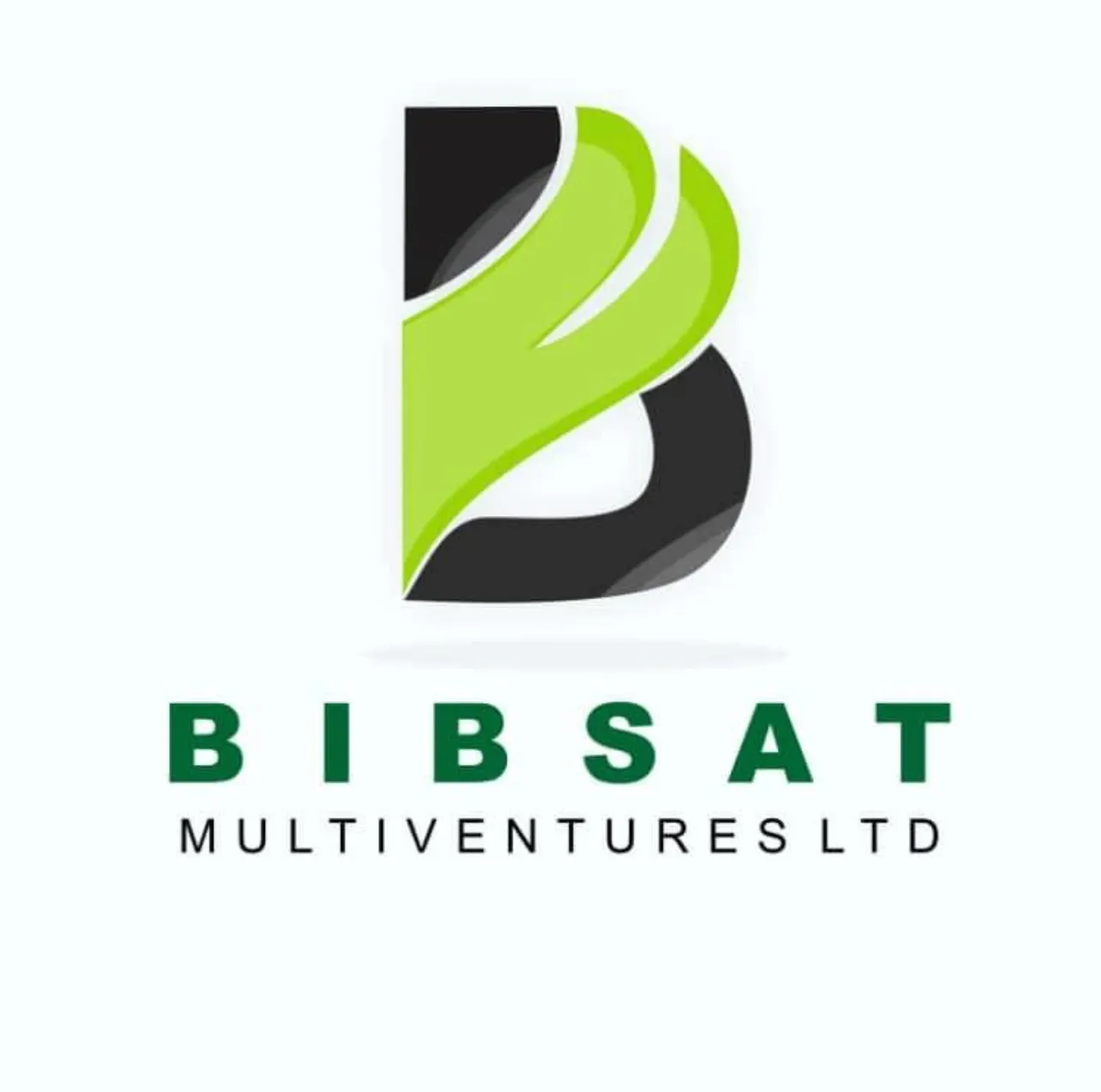 Bibsat Multi Ventures