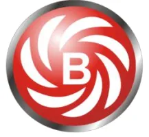 Bilview Energy Ltd logo