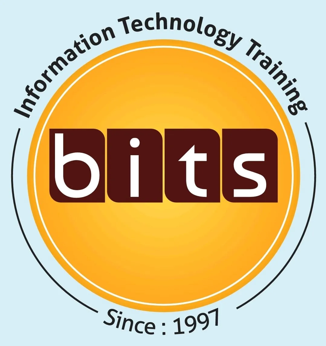 BITS IT INSTITUTE
