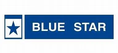 Bluestar Finishing Company Ltd