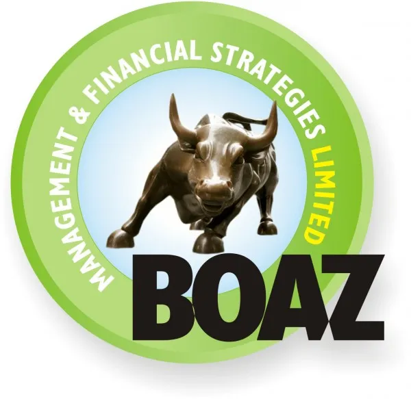 Boaz Management & Financial Strategies Ltd. logo
