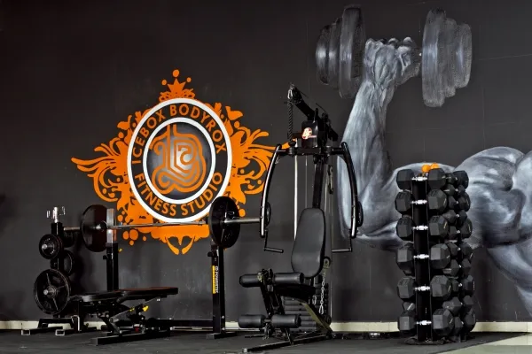 Bodyrox Fitness Studio logo