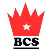 Bold Concepts And Stanbless Nig Ltd.