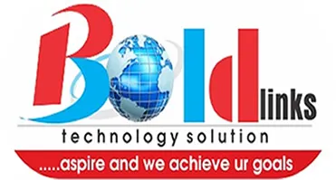 Boldlinks Technology Solution logo