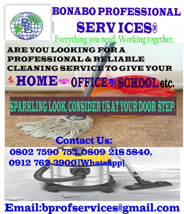Bonabo Professional Services logo