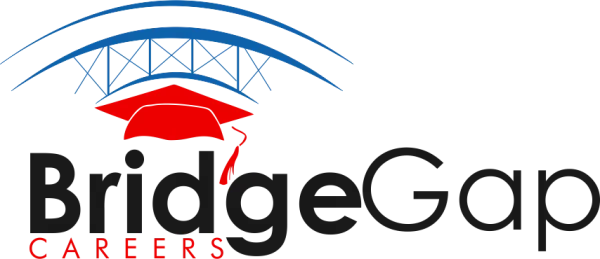 BridgeGap Consults logo