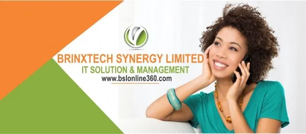 BrinxTech Synergy Limited logo