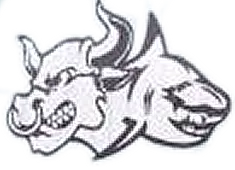 Bullshark Security Services Limited