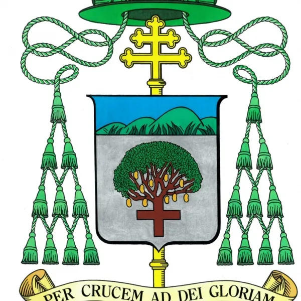Catholic Archdiocese Of Abuja