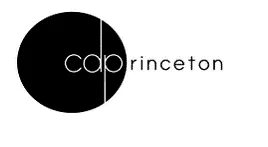 C.D Princeton Nigeria Limited