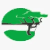 Cedar Microfinance Bank Limited (Surulere)