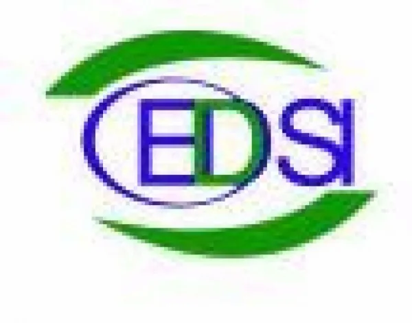 Center for Development Support Initiatives CEDSI