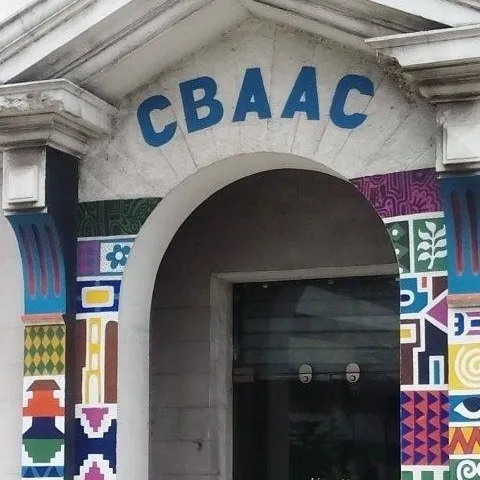Centre For Black And African Arts And Civilization (cbaac)