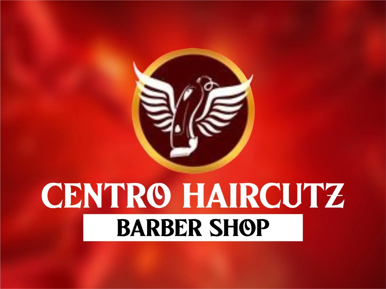 Centro Haircutz