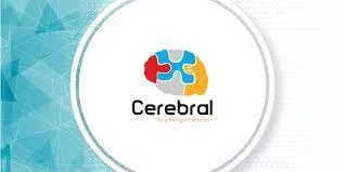 Cerebral Hub (Abuja)