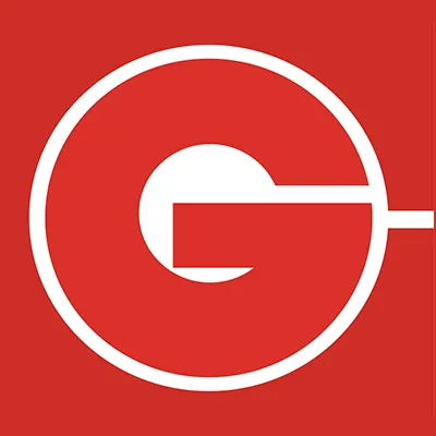 Chicason Group of Companies logo